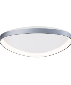 florida-1-brush-silver