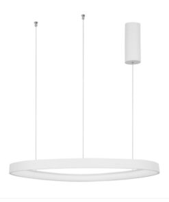 florida-2-sandy-white