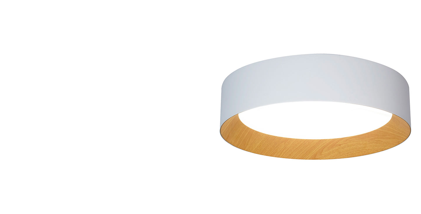 flush-mount-led-light-white