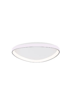 Alternative view of FLORIDA S MATTE WHITE