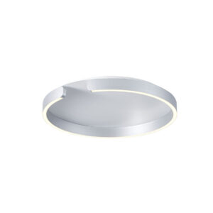 TOKIO 2 SILVER