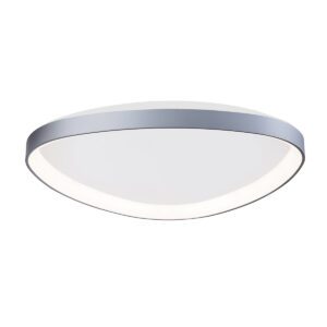 FLORIDA 1 MATTE SILVER